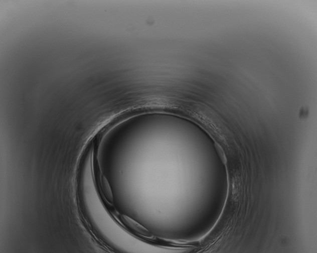X0000097990436200804011812