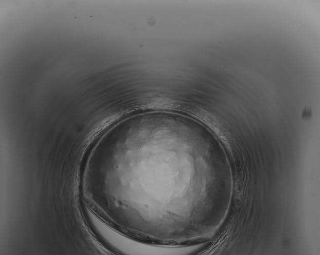 X0000097990437200804011812