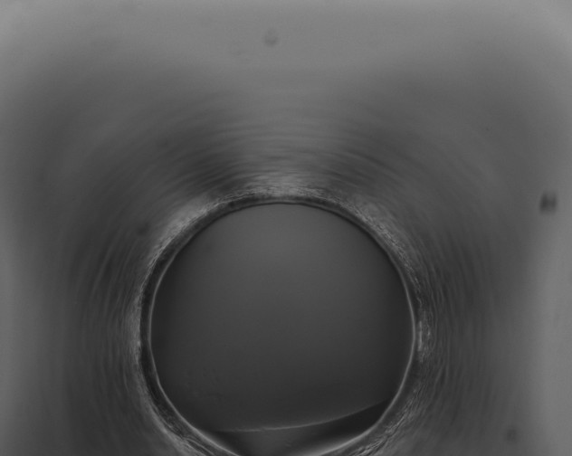 X0000097990438200804011812