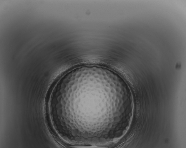X0000097990439200804011812