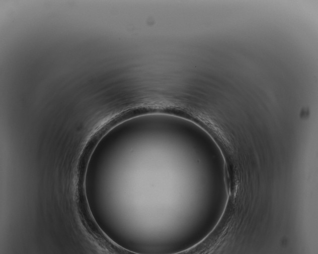 X0000097990440200804011812