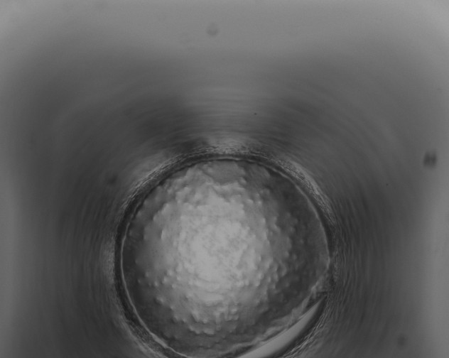 X0000097990442200804011812