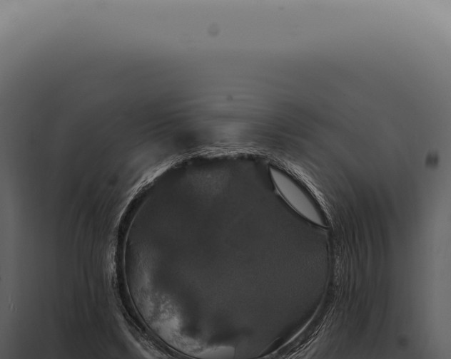 X0000097990443200804011812