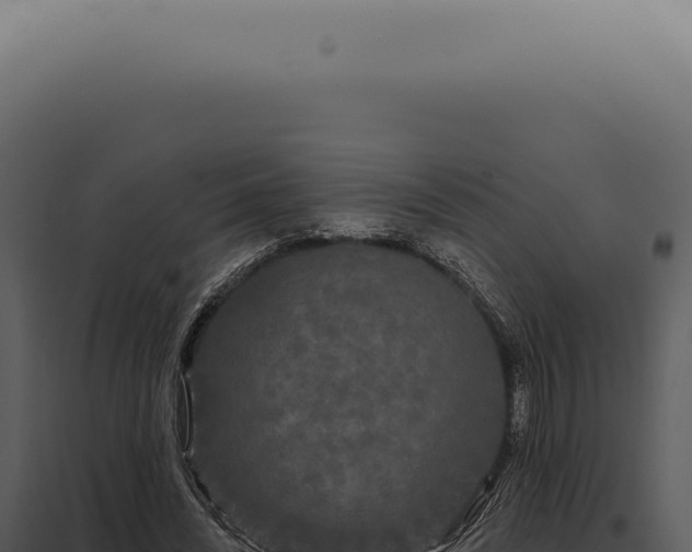 X0000097990444200804011812