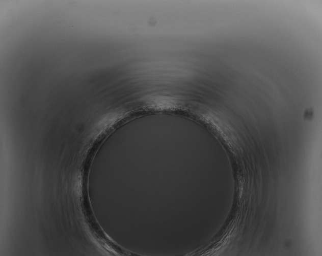 X0000097990447200804011812