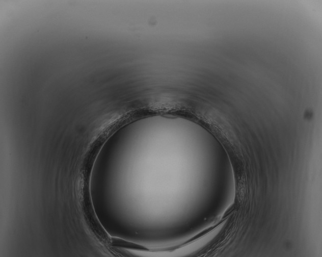 X0000097990448200804011812