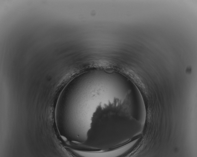 X0000097990449200804011812