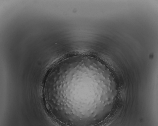 X0000097990450200804011812