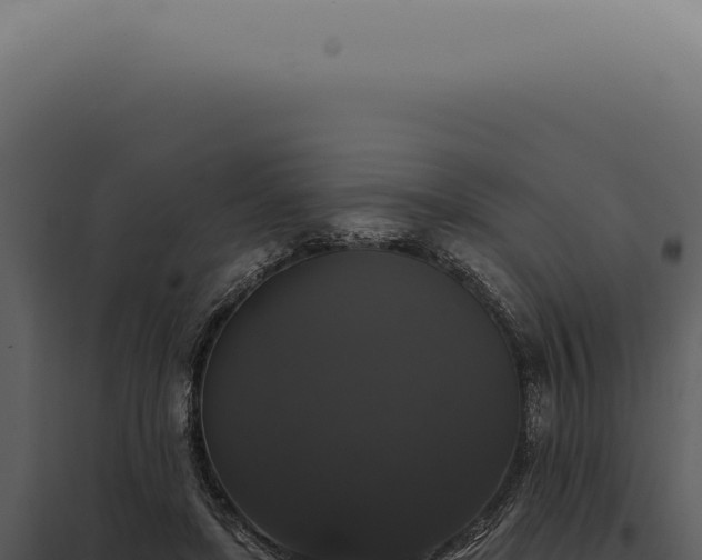 X0000097990451200804011812