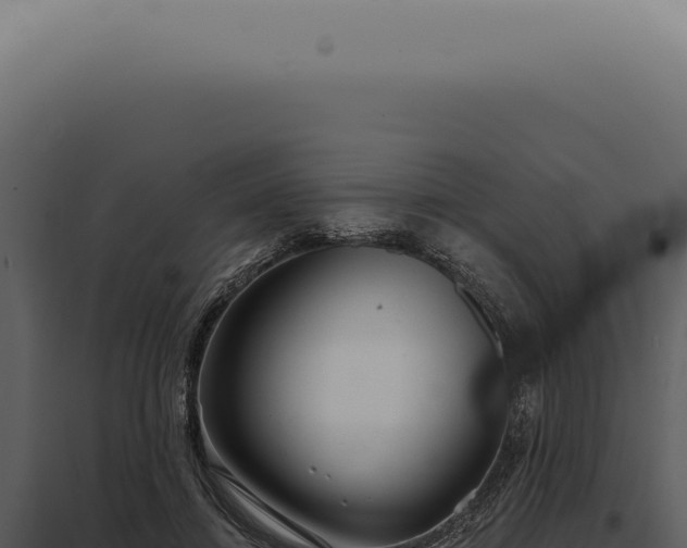 X0000097990452200804011812
