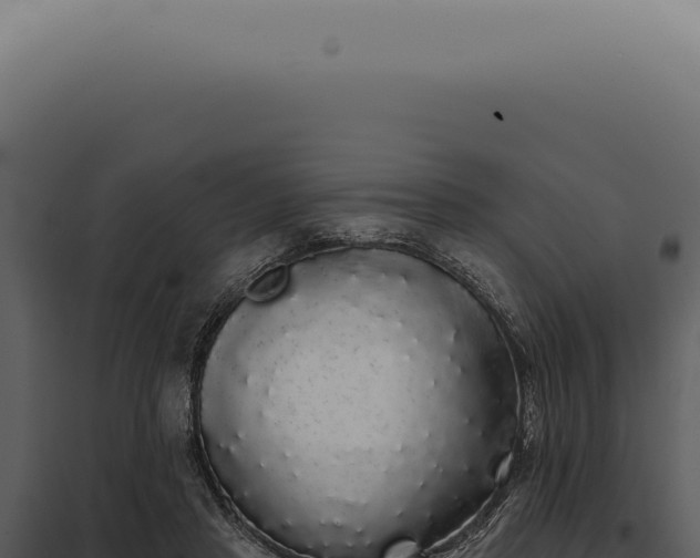 X0000097990453200804011812