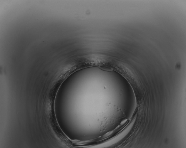 X0000097990456200804011812