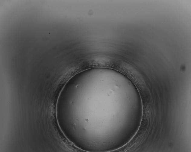 X0000097990457200804011812