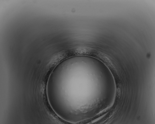 X0000097990458200804011812