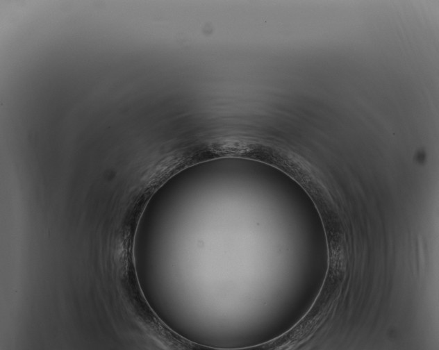 X0000097990460200804011812