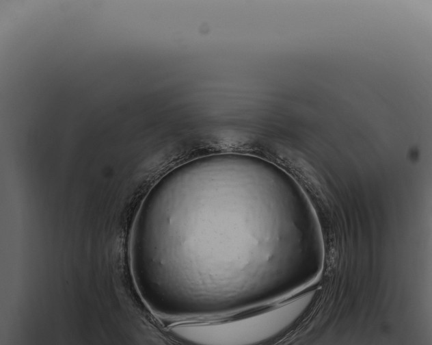 X0000097990461200804011812