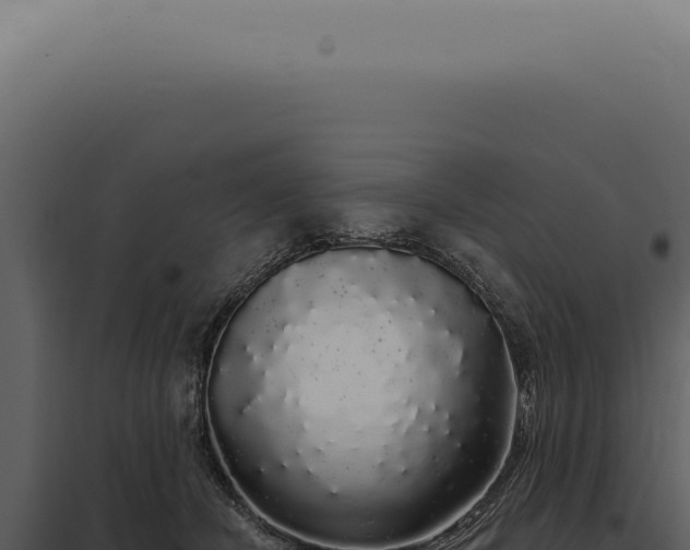 X0000097990462200804011812