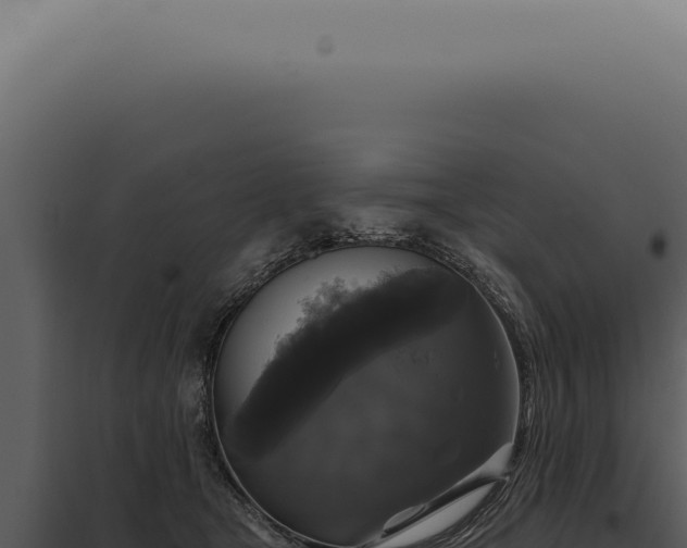 X0000097990465200804011813