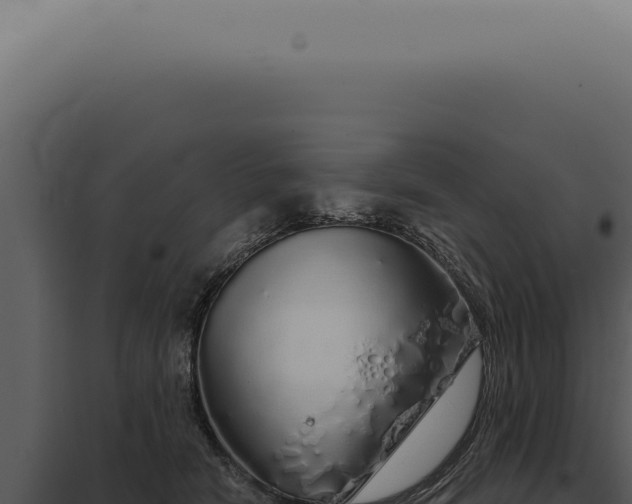 X0000097990466200804011813