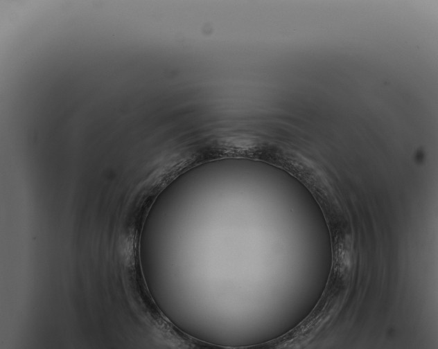 X0000097990468200804011813
