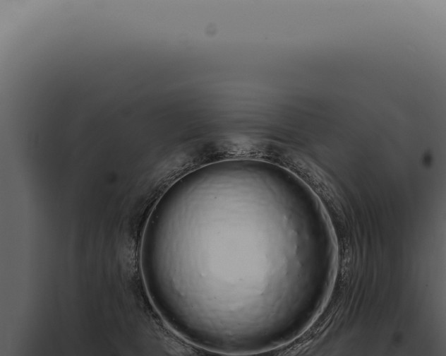 X0000097990469200804011813