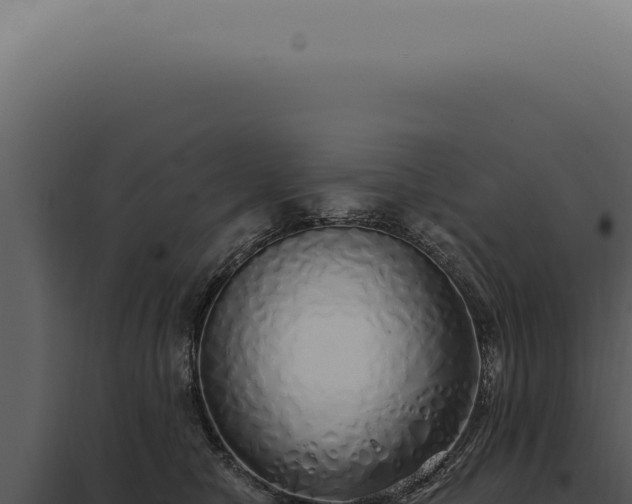 X0000097990470200804011813