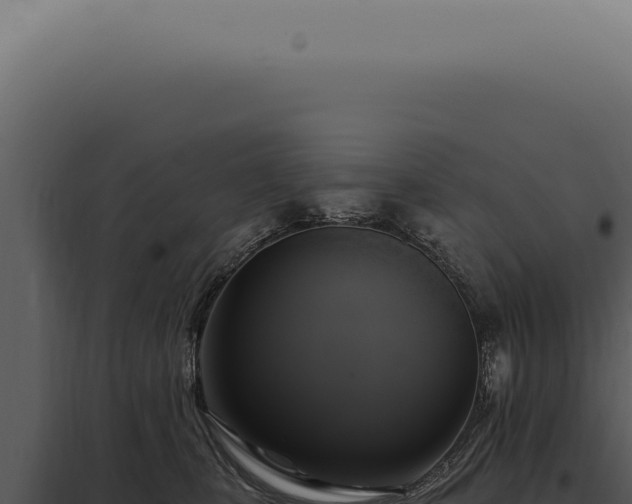 X0000097990471200804011813