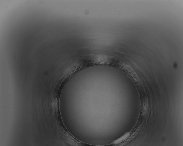 X0000097990473200804011813