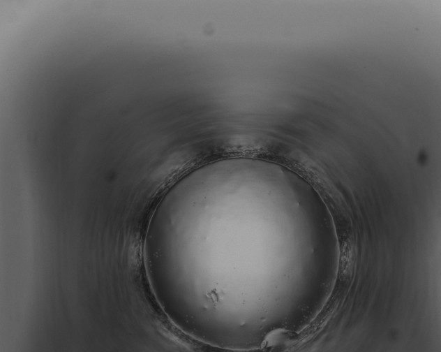 X0000097990474200804011813