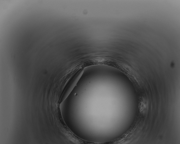 X0000097990476200804011813