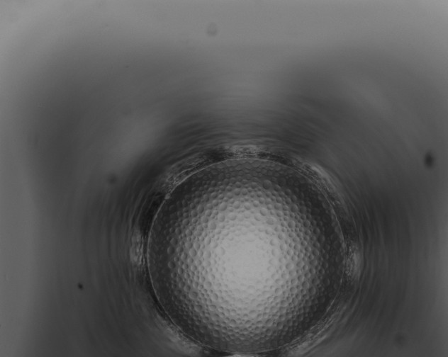 X0000097990477200804011813