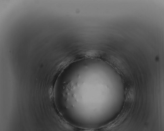 X0000097990478200804011813