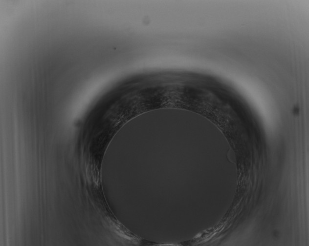 X0000097990479200804011813