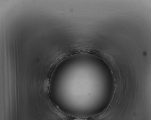 X0000097990480200804011813