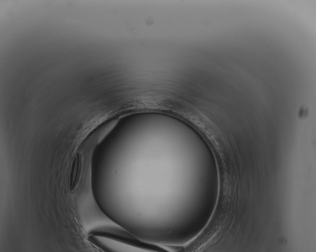 X0000097990481200804011812