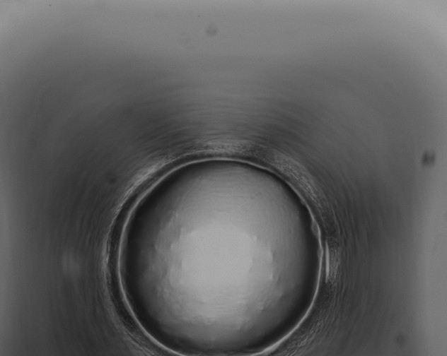 X0000097990483200804011812