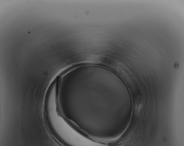 X0000097990484200804011812