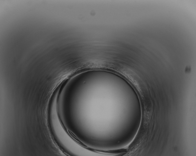 X0000097990485200804011812