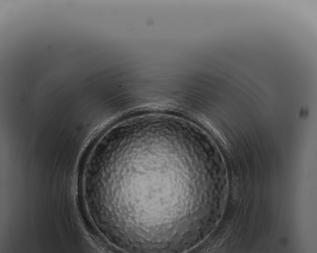 X0000097990486200804011812
