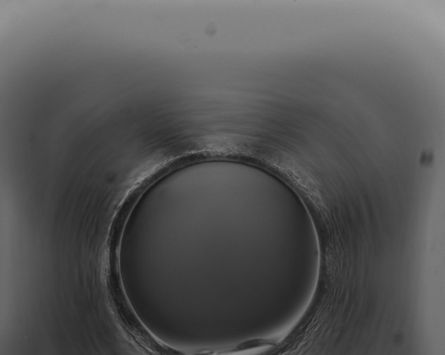 X0000097990488200804011812