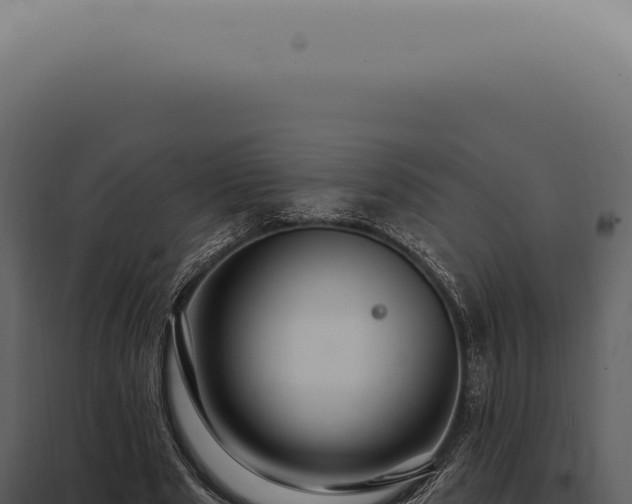 X0000097990489200804011812