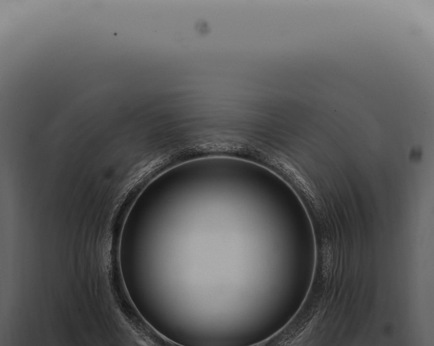 X0000097990490200804011812