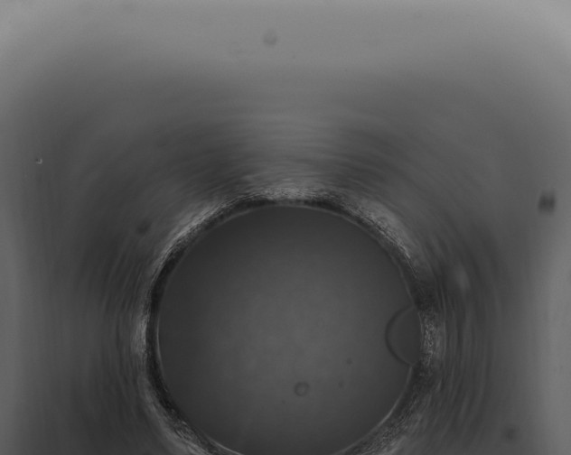X0000097990491200804011812