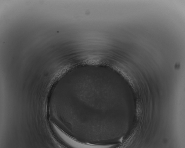 X0000097990493200804011812