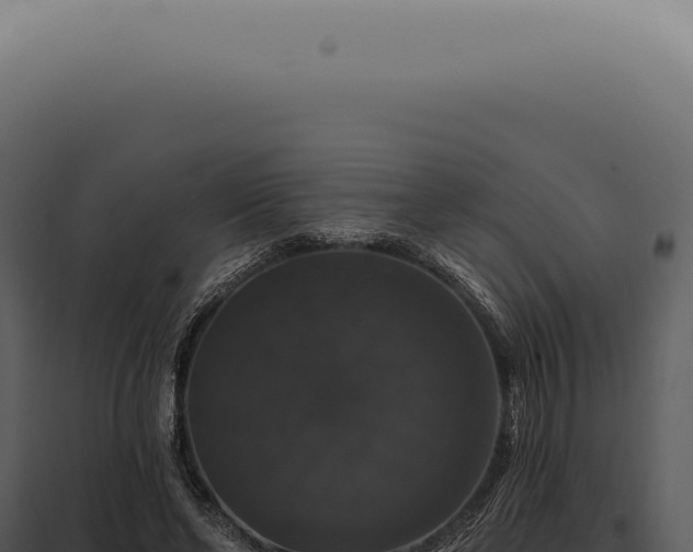 X0000097990494200804011812