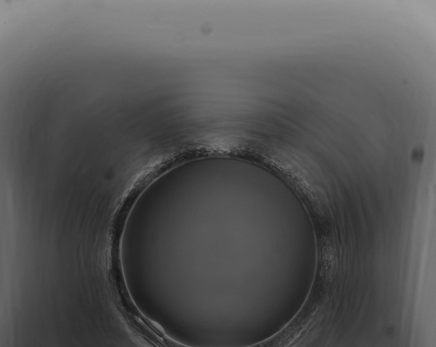 X0000097990496200804011812