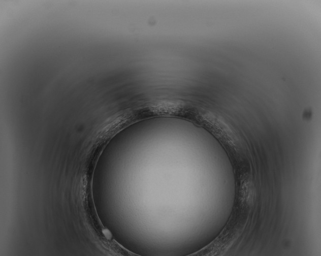 X0000097990498200804011812