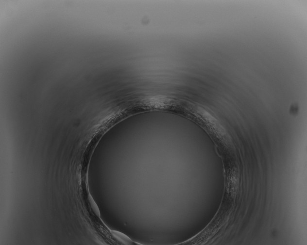 X0000097990500200804011812