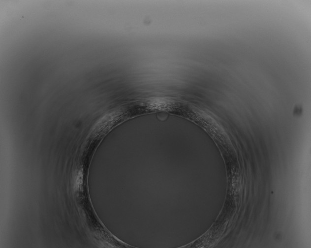 X0000097990502200804011812
