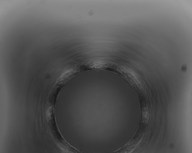 X0000097990503200804011812